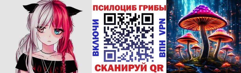 ссылка на мегу зеркало  купить наркотики сайты  Отрадное  Псилоцибиновые грибы Psilocybine cubensis 