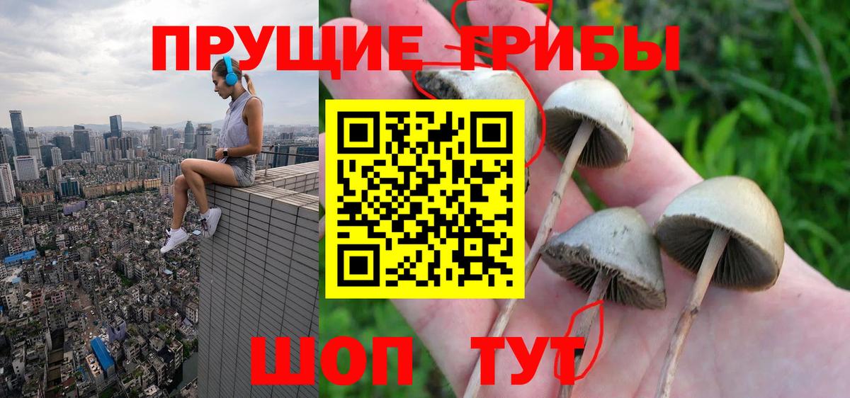 магазин  наркотиков  Псилоцибиновые грибы MAGIC MUSHROOMS  Вход с VPN  Отрадное 