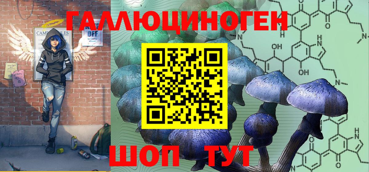 Псилоцибиновые грибы мицелий Отрадное