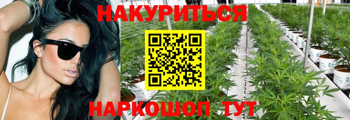 Бошки Шишки конопля Отрадное